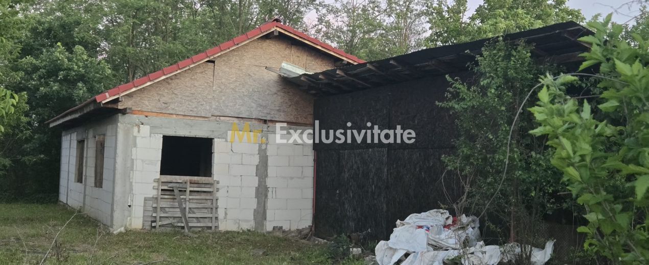 Casă cu 7.769 mp teren și pădure | Budieni | 53.000€ - Poză 9