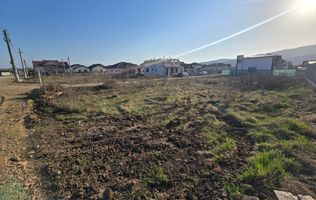 Teren Intravilan 450mp Zona Alba Micesti