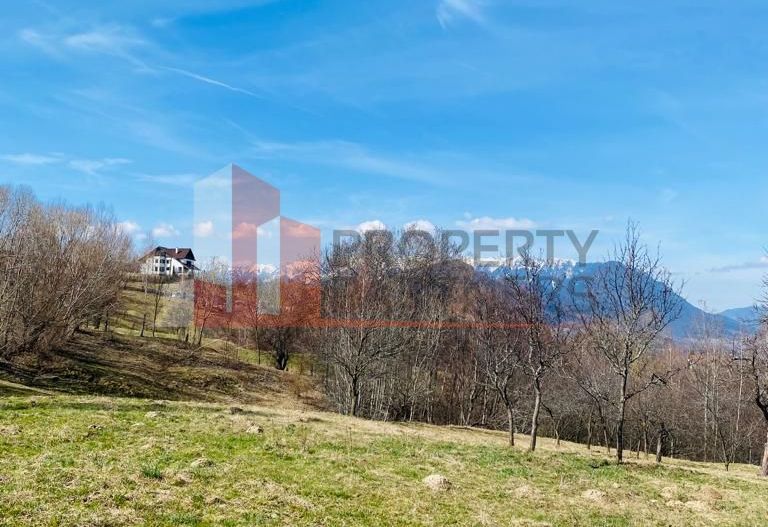 Teren Intravilan Bran-Sohodol 3000 mp parcelabil cu utilitati - Poză 10