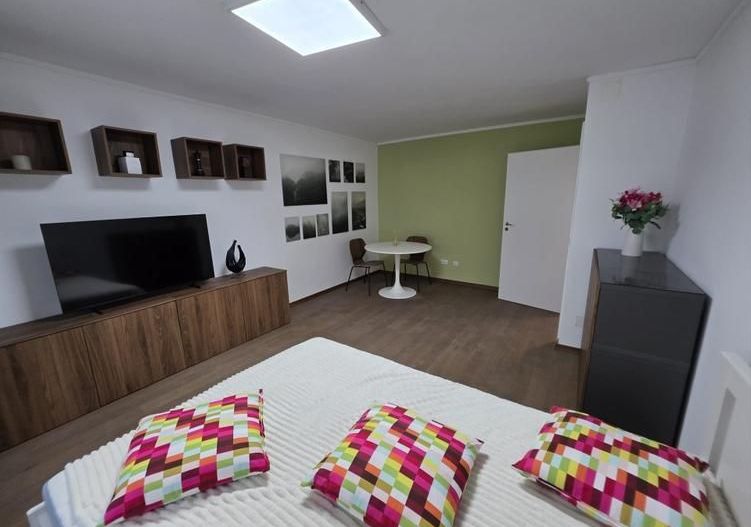 Prima Inchiriere Garsoniera -Unirii, Pet Friendly, Pret Negociabil - Poză 1