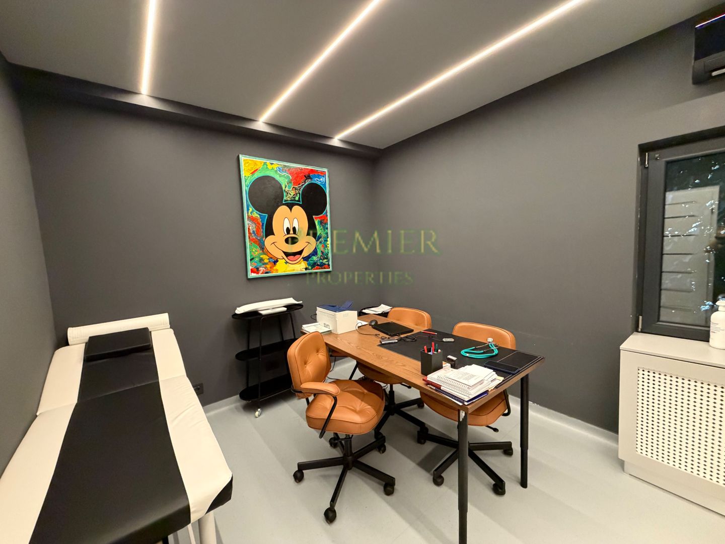 Vila Kiselef clinica medicala 8960 investitie - Poză 21