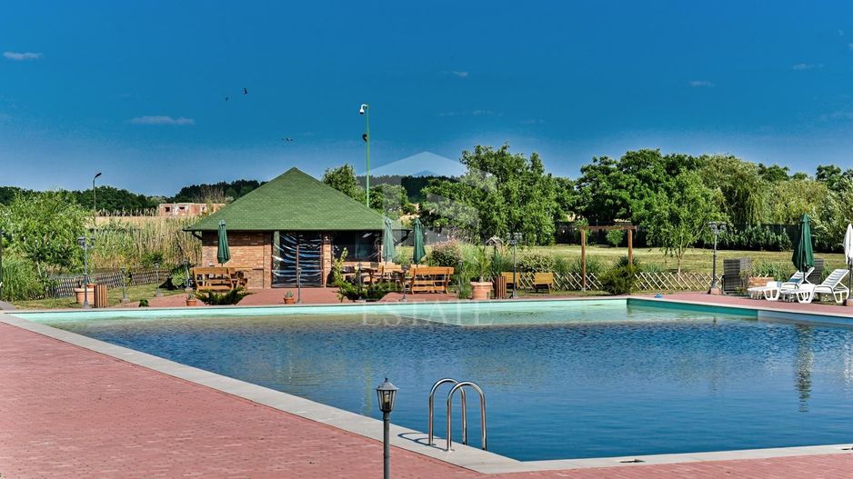 Sala de evenimente cu  piscina si foisor Biled COMISION 0 % CUMPARATOR - Poză 1