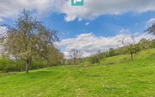 Casă cu teren de 17.681 mp, în loc. Hălmăgel, Arad - Poză 13
