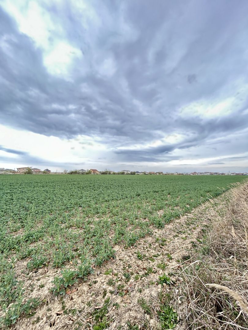 Teren premium 4000 mp – Cartier Grigorescu - Poză 3