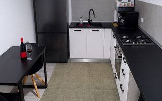 SPATIU COMERCIAL PLUS CASA DE VANZARE IN HOLBOCA 250 000 EURO - Poză 17