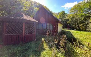 Cabana de vanzare, Valea Manastirii - Ramet - Poză 1