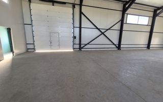 Hală de închiriat 590 mp | Chitila–Rudeni | Acces direct din Centură - Poză 4