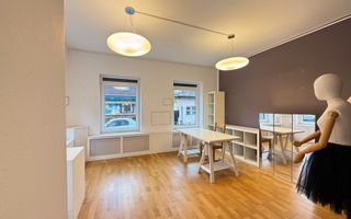 Un apartament Chic ideal ca locuinta sau activitate - Poză 2