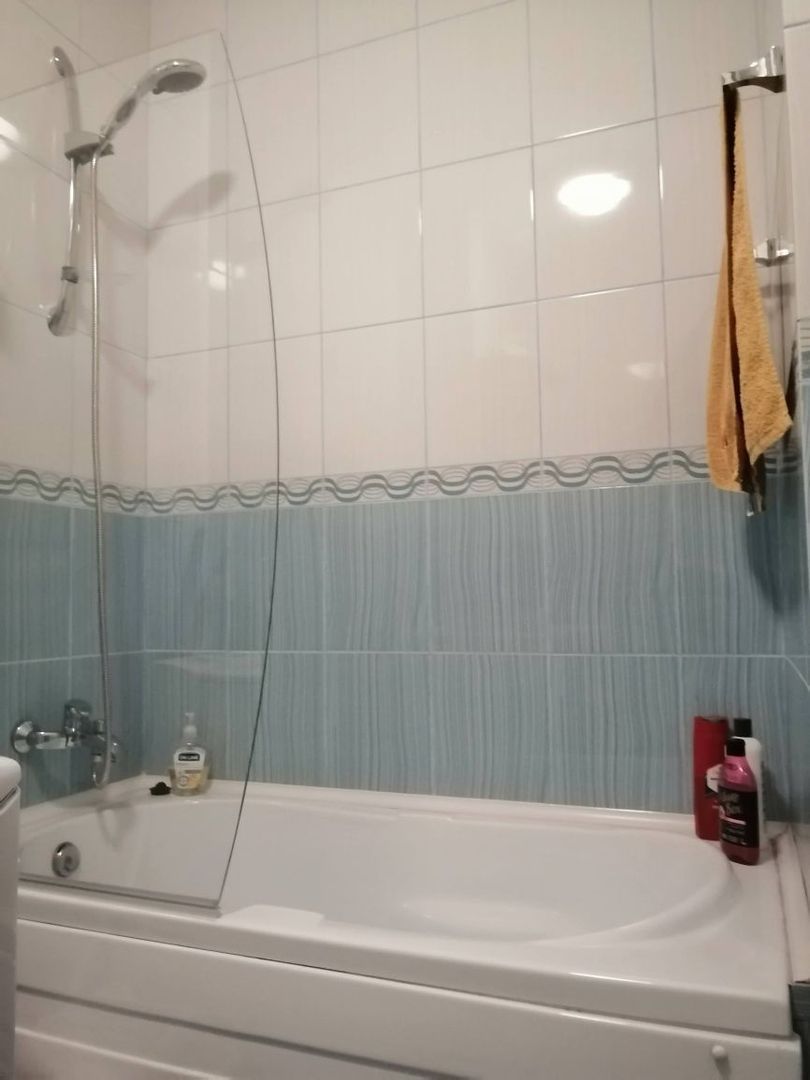 Apartment Sala Palatului/Cismigiu - Poză 8
