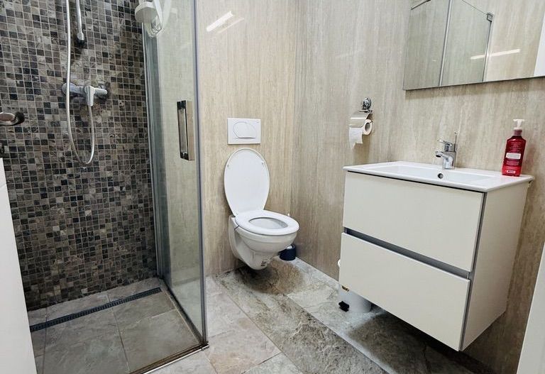 Braytim-Lidl | 3 camere | 2 băi | 85 mp | Lift | Terasă - Poză 13