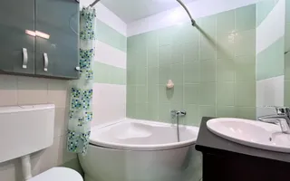 Apartament 2 camere, zona PLATINIA Mall, pet Friendly - Poză 11