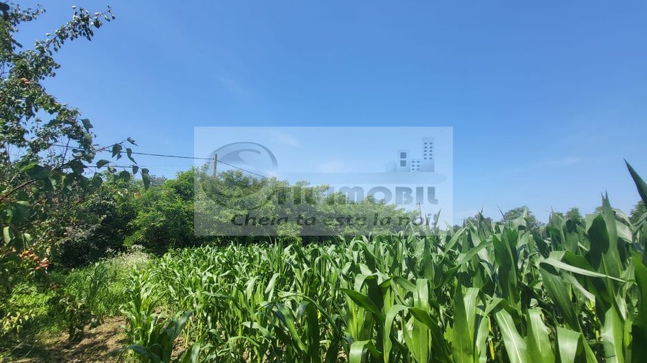 Casă individuala 4000mp teren com Alexandru Ioan Cuza sat Kogalniceni - Poză 24