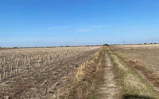 Teren agricol în Zona Sagului - Poză 3