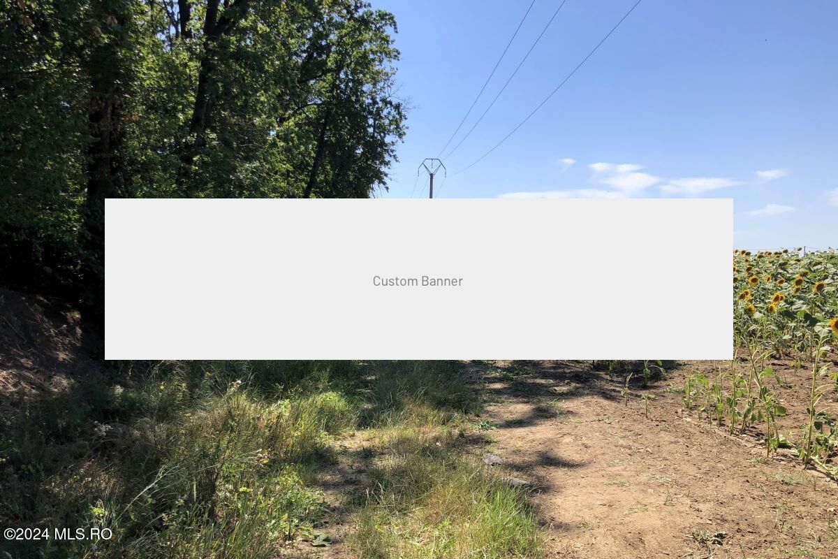 Moara Vlasiei - langa Padurea Biglaru, 11.884 mp, deschidere 40 ml - Poză 9