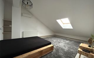 Apartament 3 camere Duplex - zona Calea Calarasilor/Hala Traian - Poză 15