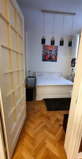 De vanzare Apartament 3 camere in vila, Hala Traian- Mantuleasa - Poză 7