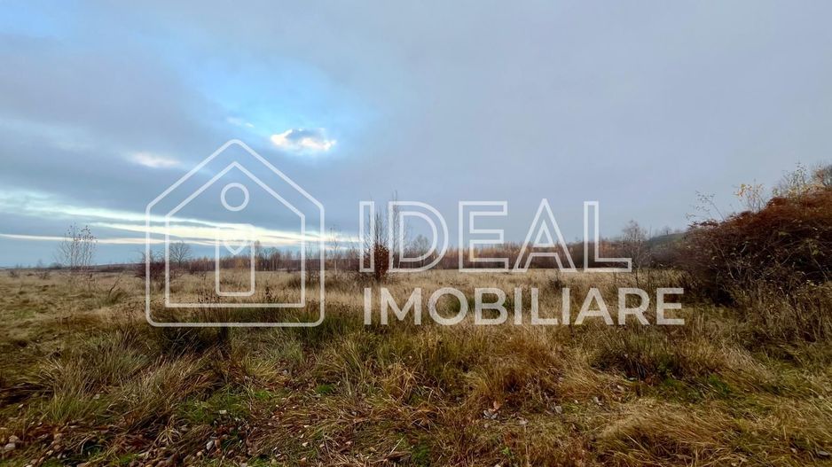 Teren extravilan 6.500 mp – Cârțișoara | Comision 0% - Poză 6