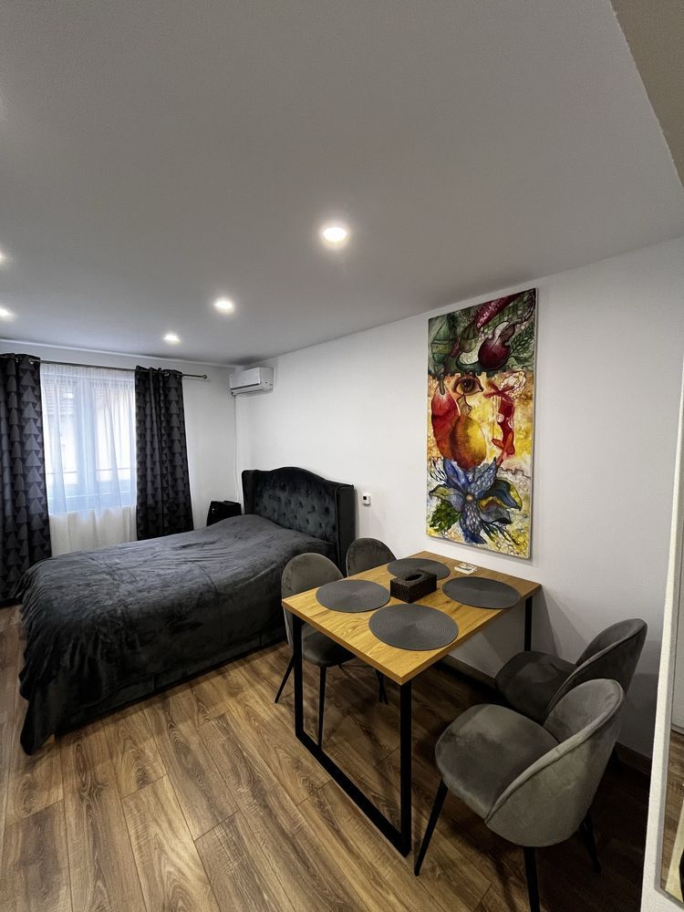 1 Camera | Iosefin - Nicolae Titulescu | Etaj Intermediar - Poză 1