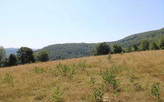 Terenuri Carpinis I parcelabil I Curent pe proprietati - Poză 9