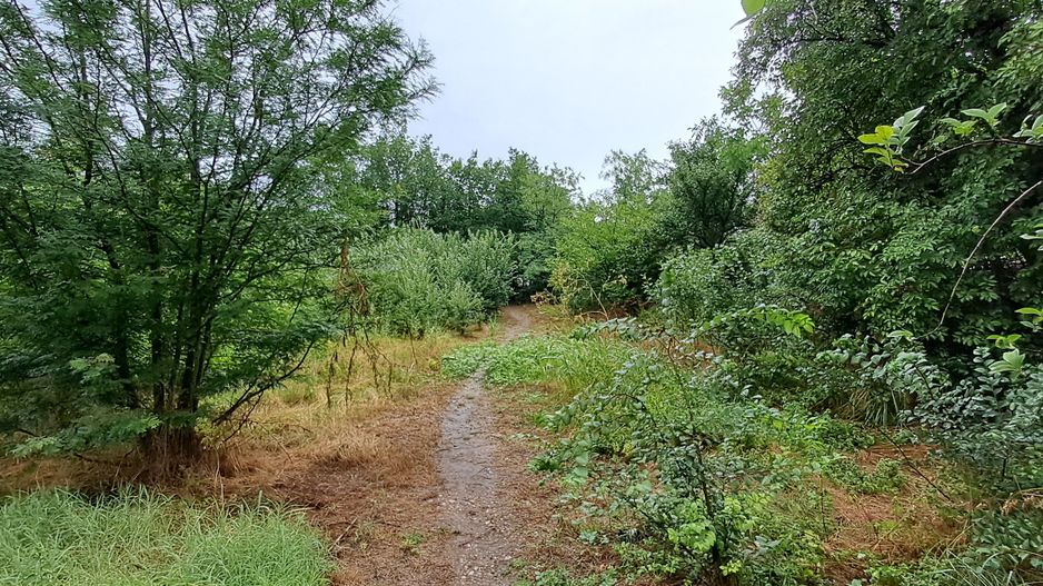 Giurgiu, comuna DAIA, casa demolabila, teren 1300 mp, dubla deschidere - Poză 4