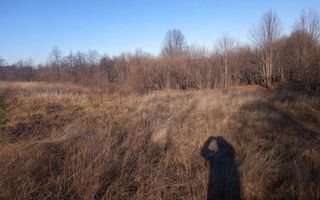 Teren extravilan | Vicovu de Jos | Preț 33.000 | Negociabil - Poză 2