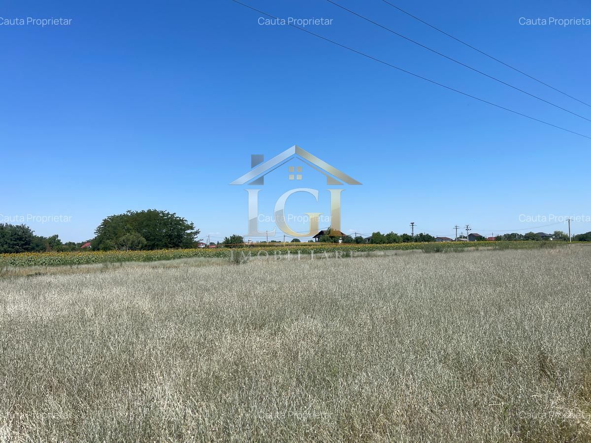 🌿 Teren de vânzare – Tărtășești ,12500 E - Poză 7