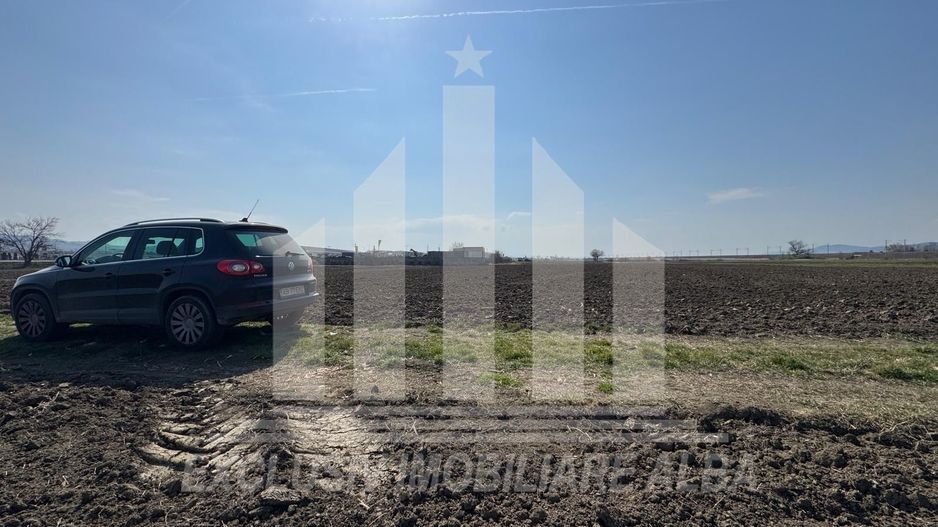 Teren intravilan | 1600 mp | 16 ml deschidere | Oarda de Jos - Poză 3