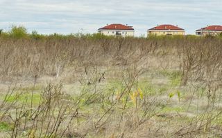 Teren extravilan Chitila/Mogosoia 15895mp - Poză 4