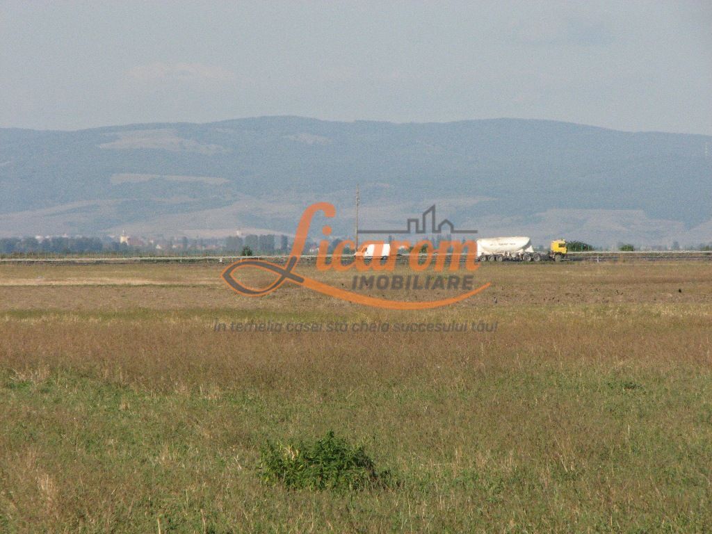 Codlea teren constructii industriale sau logistice 8 ha pana la 24 Ha - Poză 11