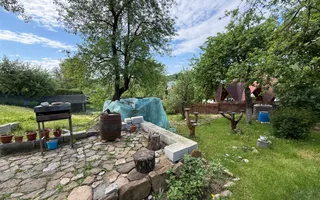 2 Case + teren 1390 mp langa parcul central Provita de Sus - Poză 37