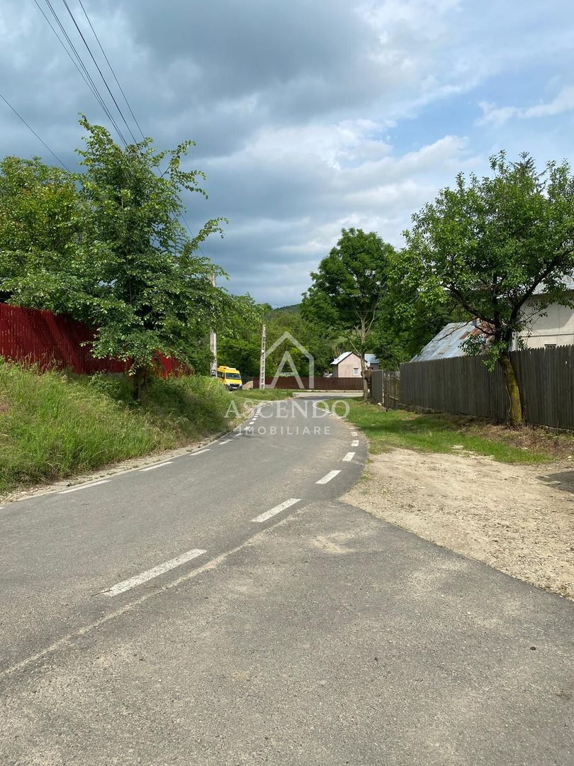 Domeniu 15.900 mp în Fințești | Casă + Investiție Dealu Mare - Poză 22