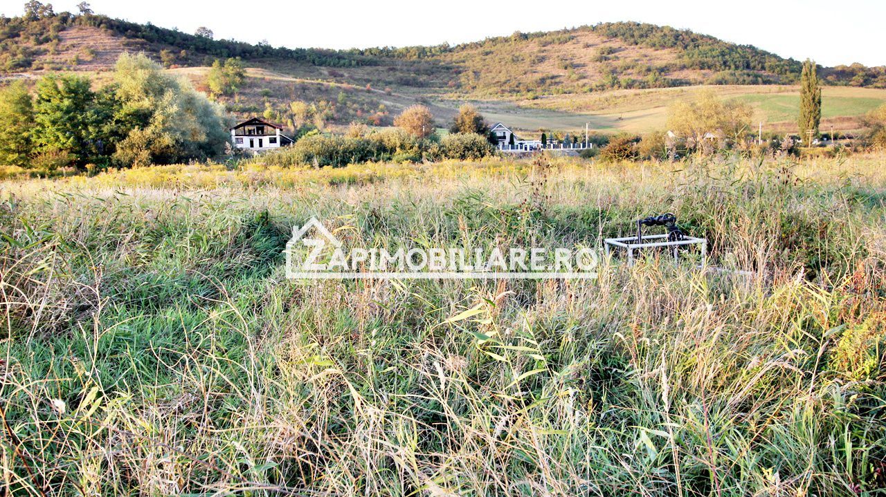 De vanzare 2 terenuri de 29.500 mp si 1.400 mp.29 euro mp - Poză 8