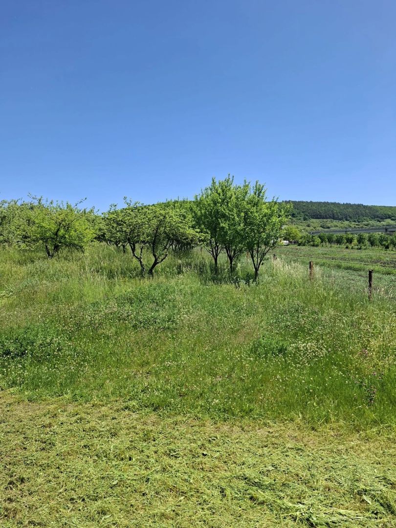 Teren de vanzare in Valcele - Poză 1