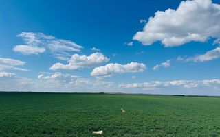 Teren extravilan 17700mp Biharia - Poză 4