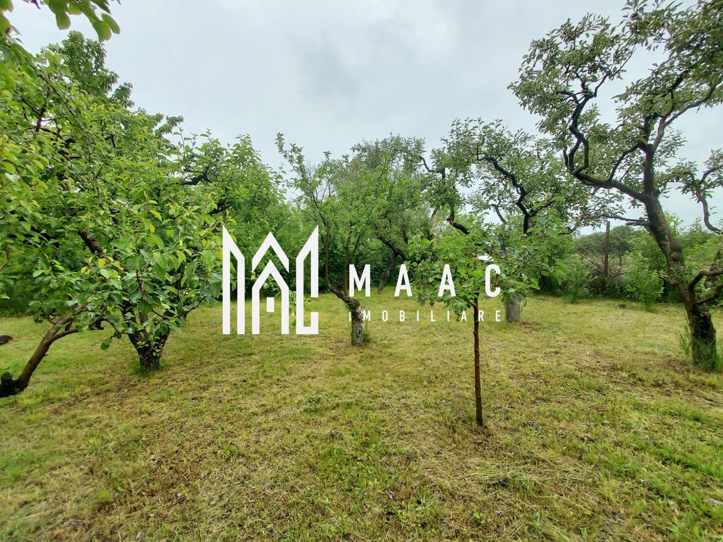 Casa | 1331 mp Teren | Miercurea Sibiului | - Poză 12