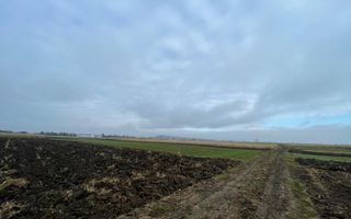 TEREN EXTRAVILAN 13 ARI | FRONT STRADAL 13 M | MARGINEA - Poză 9