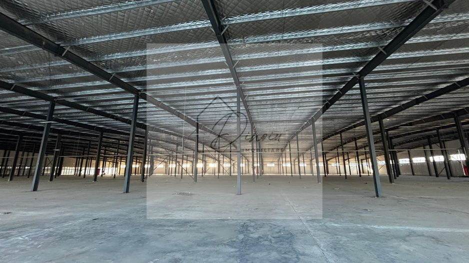 Hala de inchiriat I Afumati I minim 500 mp I langa Centura Bucuresti - Poză 35