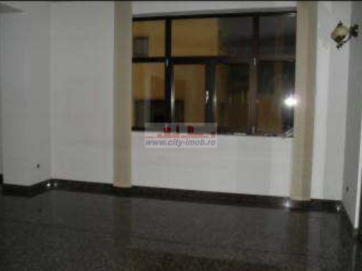 Inchiriere Vila Iancu Nicolae Gradinita, Clinica Medicala - Poză 7