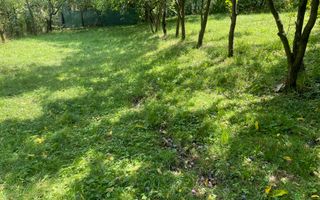 Teren intravilan , 2-3 minute fata de Centru Pietonal - Poză 1