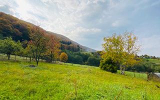 Casa + teren 1700 mp langa Padure Bran/ Predelut - Poză 2