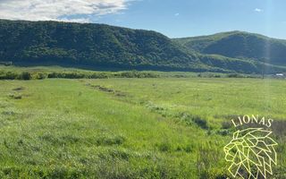 Teren intravilan-Crainimat -3000mp-ideal investitie construire casa - Poză 2