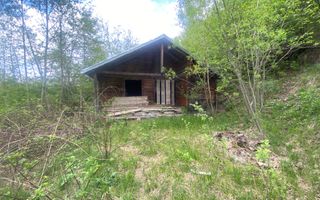 Teren Intravilan | Câmpulung Moldovenesc | 31ARI - Poză 1