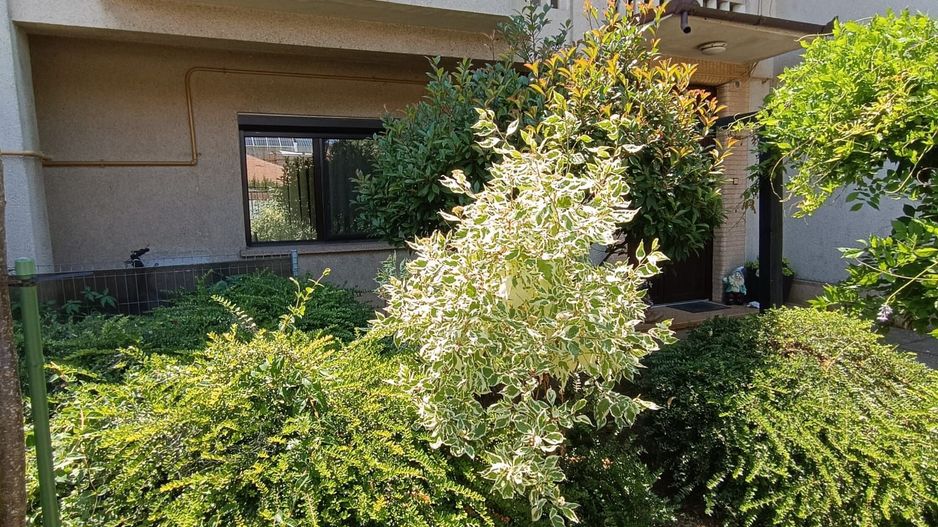 Vila  zona Elisabetin P+2E+M - Poză 31