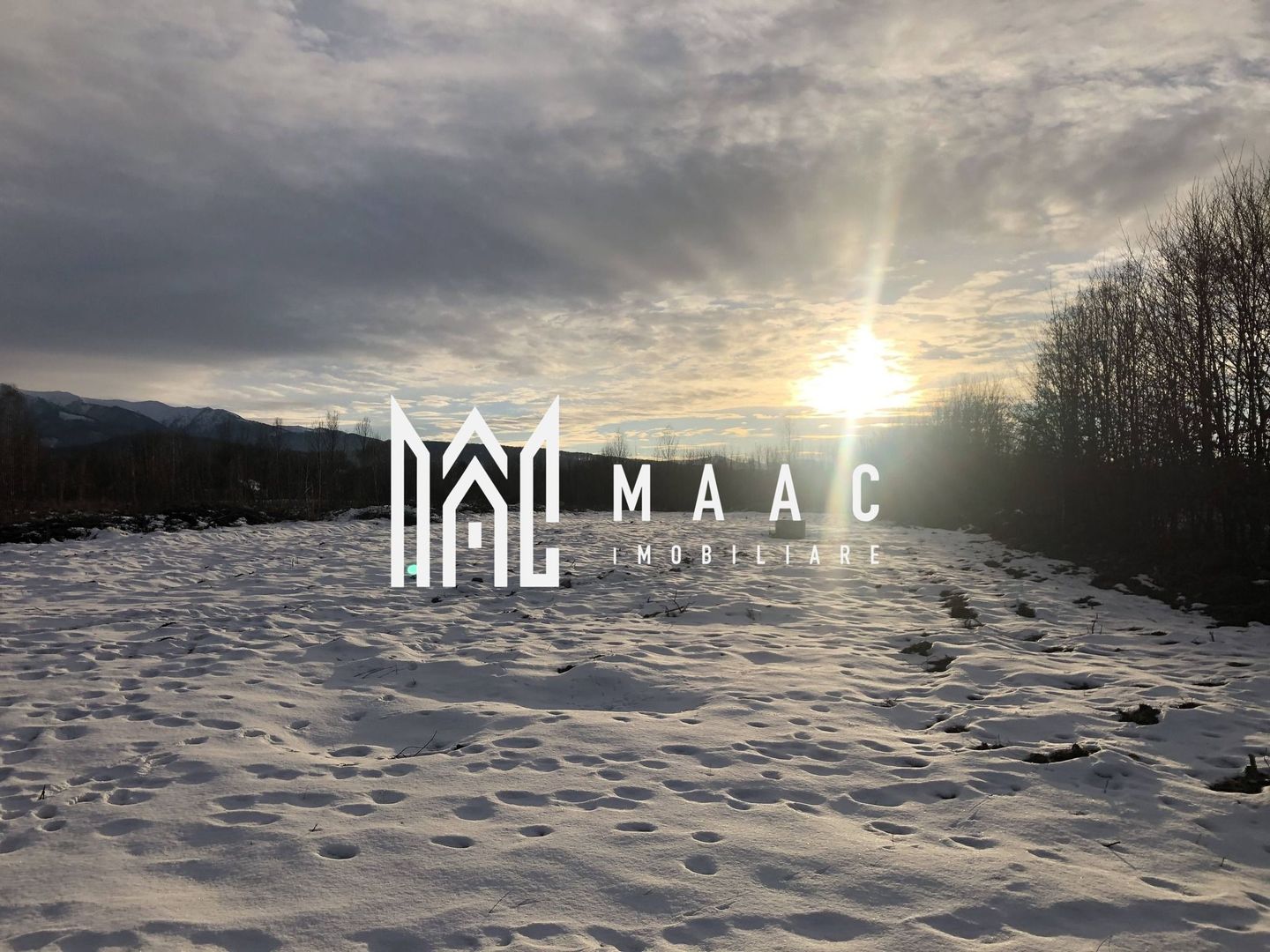 SUPEROFERTA  Teren Intravilian  Valea Avrigului Sibiu - Poză 11