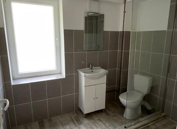 Spatiu comercial de ï¿½nchiriat Calea Aradului - Poză 2