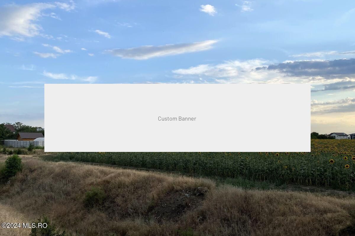 Tamasi, langa padure, 12.824 mp, deschidere 45 ml, teren cu potential - Poză 3