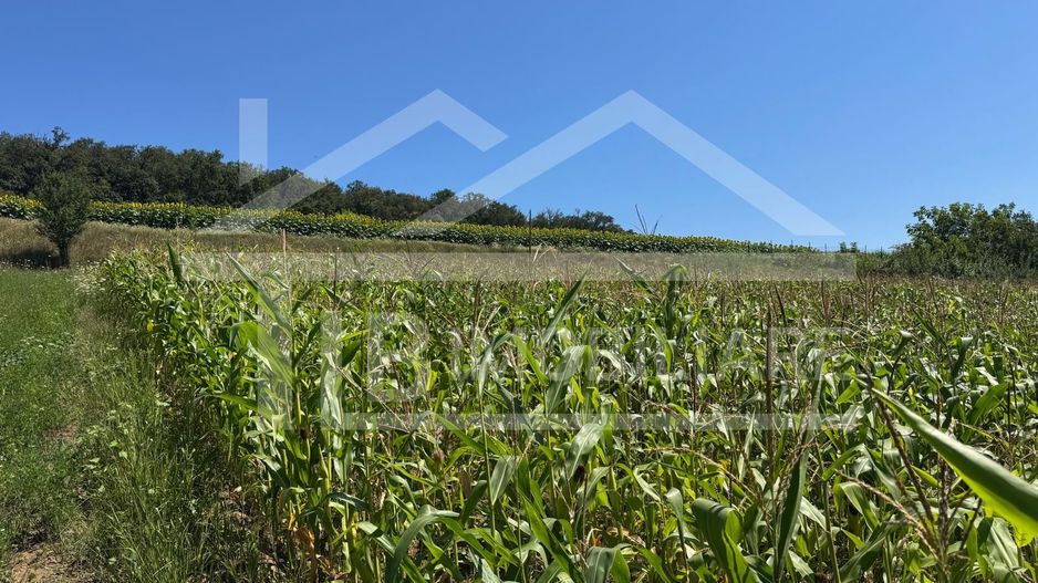 Teren, 1734mp,  intravilan, zona Remetea - Poză 3