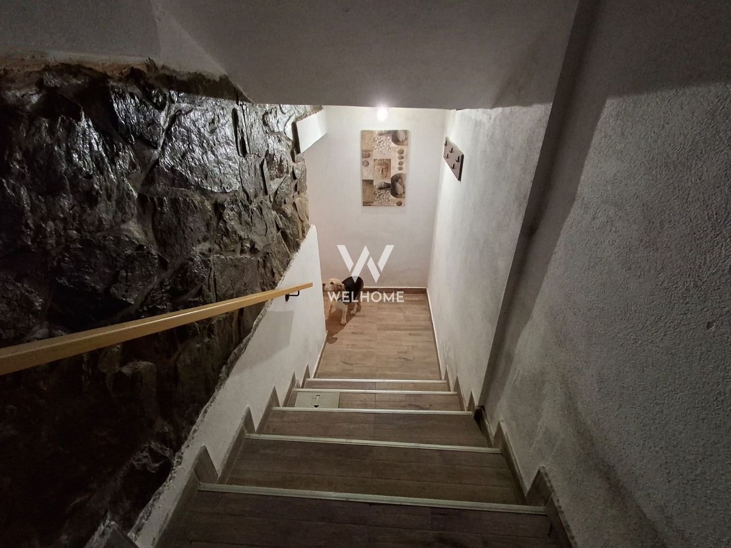 Casa de vanzare in Sibiu, birouri, clinica ,Parcul Sub Arini - Poză 25