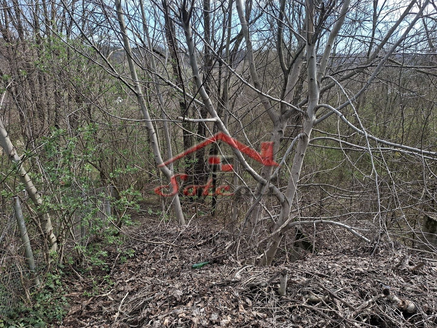Teren de vanzare Cornu de Jos - Poză 2