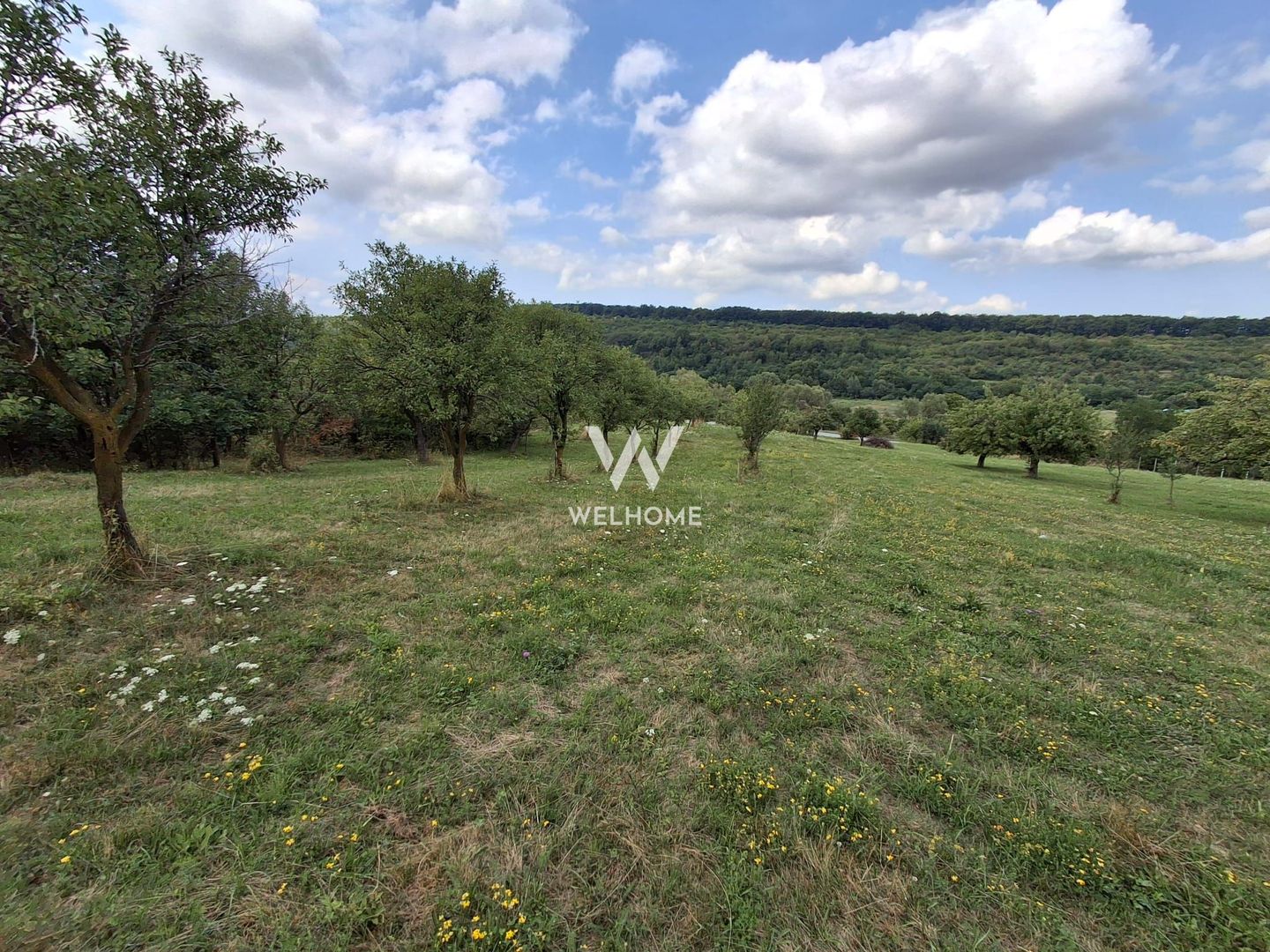 De vânzare teren extravilan în Sibiel, jud. Sibiu – 3223 mp - Poză 9